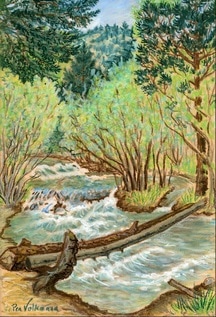 Picture
